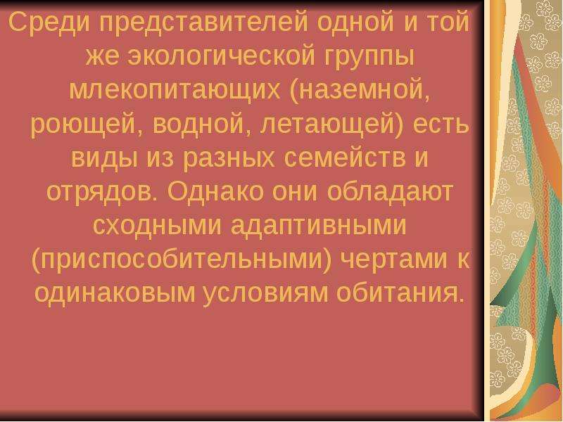 Среди представителей. Пилипко Елена Николаевна наземные млекопитающие. Описание Чеканов внешность, чем питается, среда обитания.