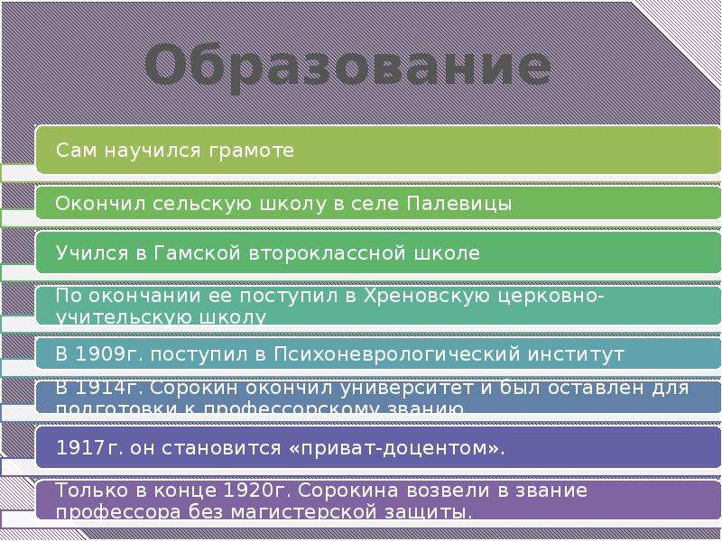 Деятельность п. Вид работ п-13.