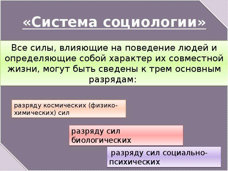 Деятельность п. Система социологии. Система социологии 1920. Понятие система в социологии. Подсистема в социологии.