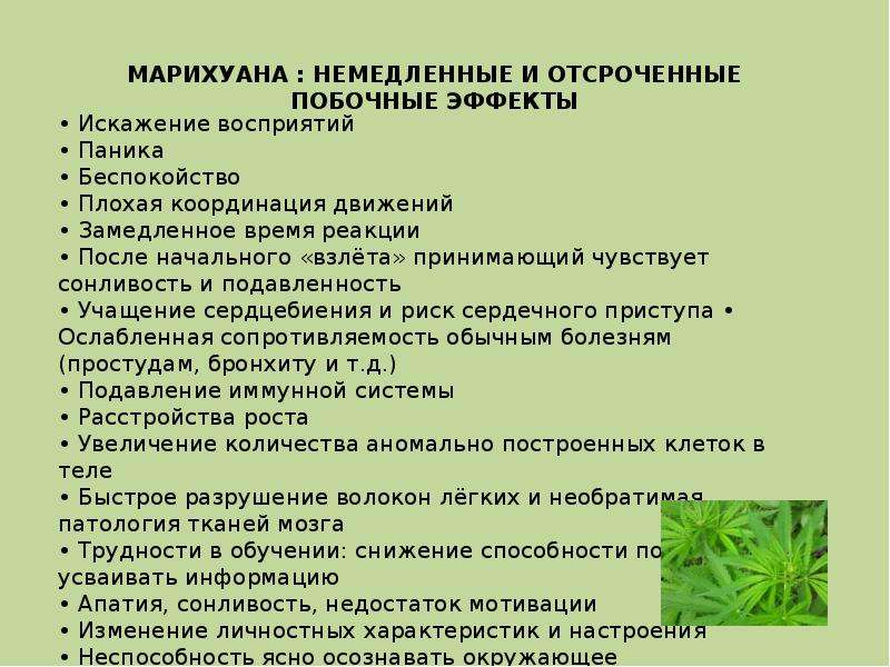 Восстановить организм после курения марихуаны семена конопляные почтой из москвы