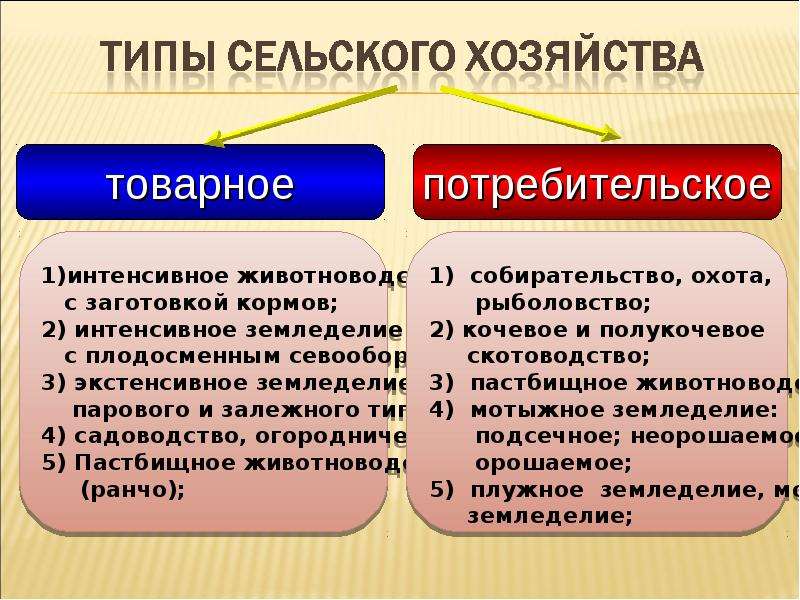 Схема география сельского хозяйства