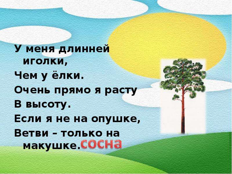 Очень прямо