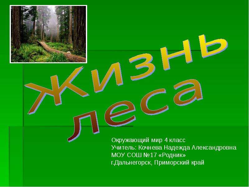 Жизнь леса окружающий. Жизнь леса презентация. Проект жизнь леса. Жизнь леса 4 класс. Жизнь леса окружающий мир.