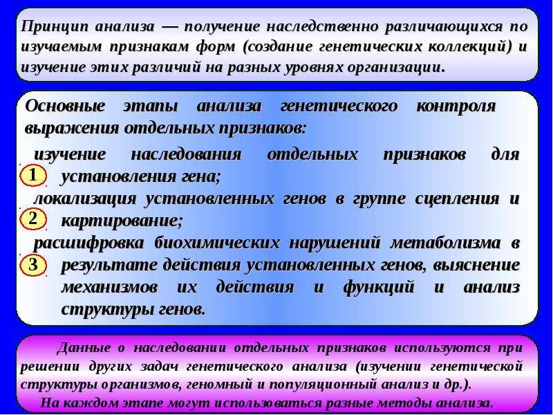 Генетический принцип. Этапы генетического анализа. Задача генетического анализа. Задачи генетического исследования. Порядок этапов генетического анализа.