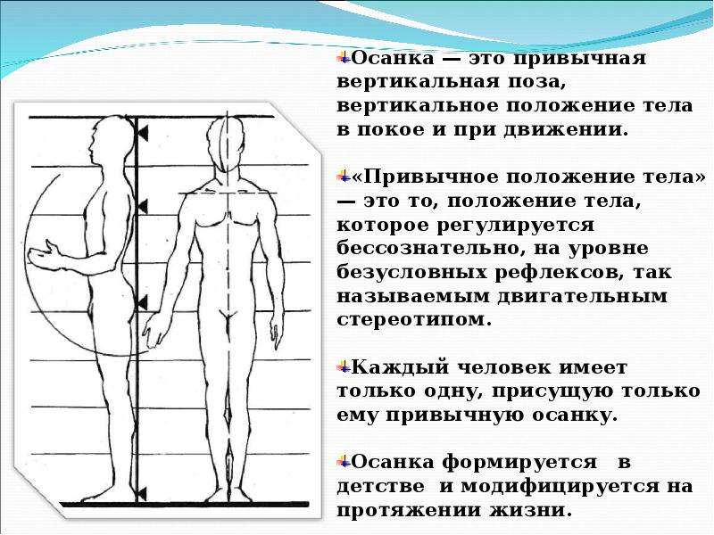 Значение правильной осанки в жизни человека проект