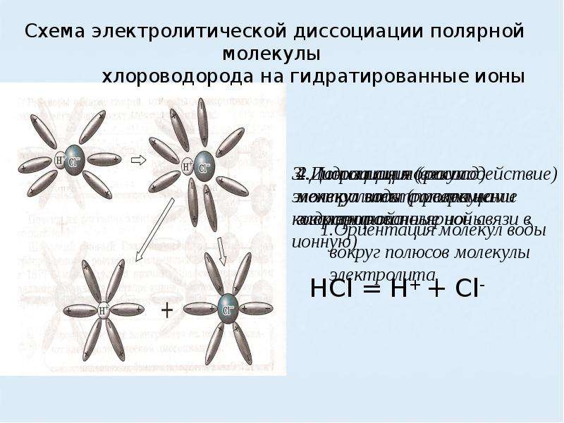 Обобщение и систематизация знаний электролитическая диссоциация. Электролитическая диссоциация полярной молекулы. Схема электролитической диссоциации полярной молекулы. Электролитическая диссоциация схема. Ориентация молекул воды вокруг полюсов молекулы электролита.