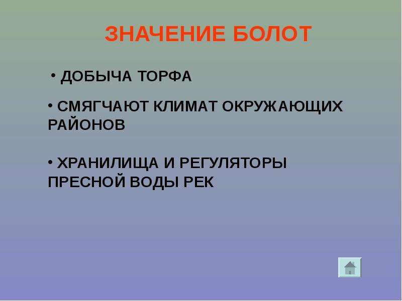 Значение болот. Болота плюсы и минусы для человека.