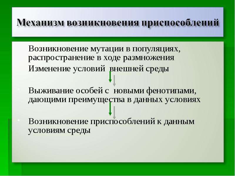 Биологические механизмы. Механизм возникновения приспособлений у животных. Механизм возникновения адаптаций схема. Механизм возникновения приспособлений кактуса. Медведка механизм возникновения приспособленности.