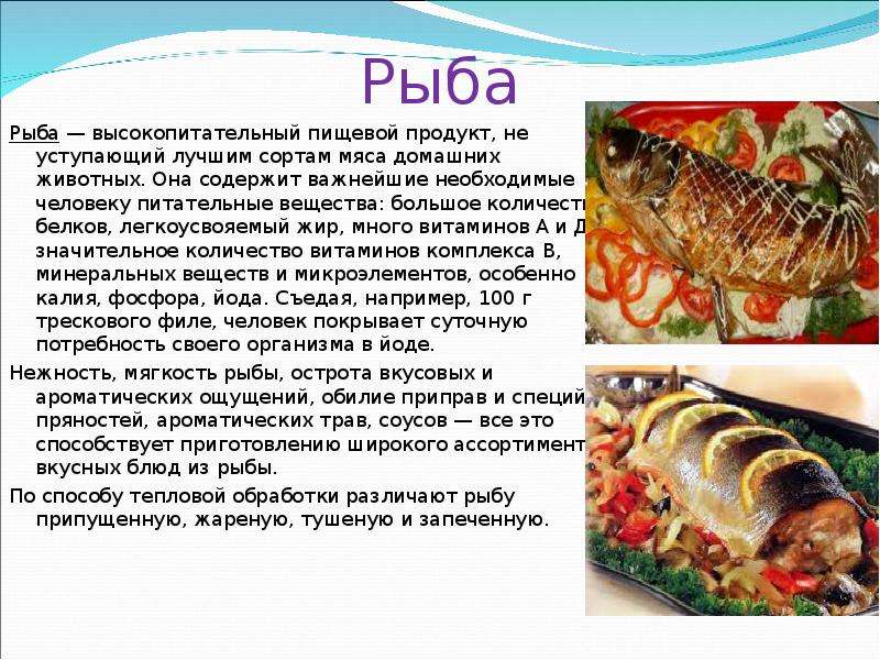 Технология рыба. Презентация рыбные и мясные продукты. Питательные вещества в рыбе. Проект блюда из рыбы. Сообщение на тему польза рыбных продуктов.