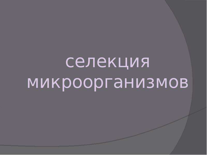 Селекция микроорганизмов презентация 10 класс