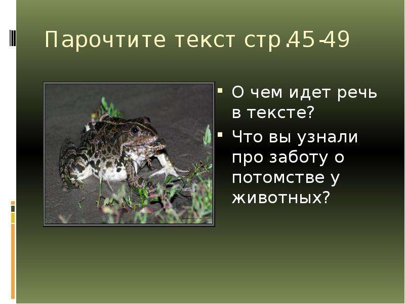 Составьте план параграфа забота о потомстве 9 класс