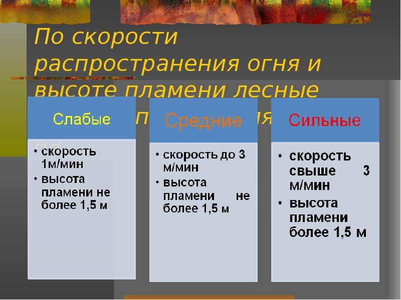 Распространение огня. Пожары по скорости распространения. Скорость распространения огня. Лесные пожары по скорости распространения. По скорости распространения огня.