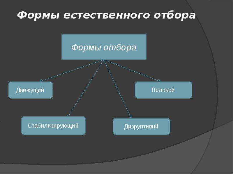 Естественный отбор 4. 4 Формы естественного отбора. Движущий стабилизирующий половой. Естественный отбор виды четыре. Формы естественного отбора 4 формы.