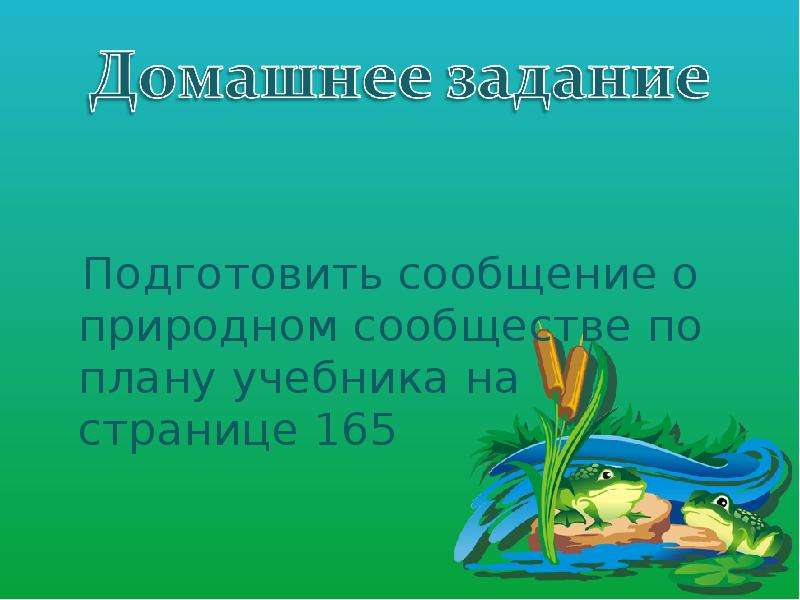 Проект на тему бережное отношение к природе 5 класс