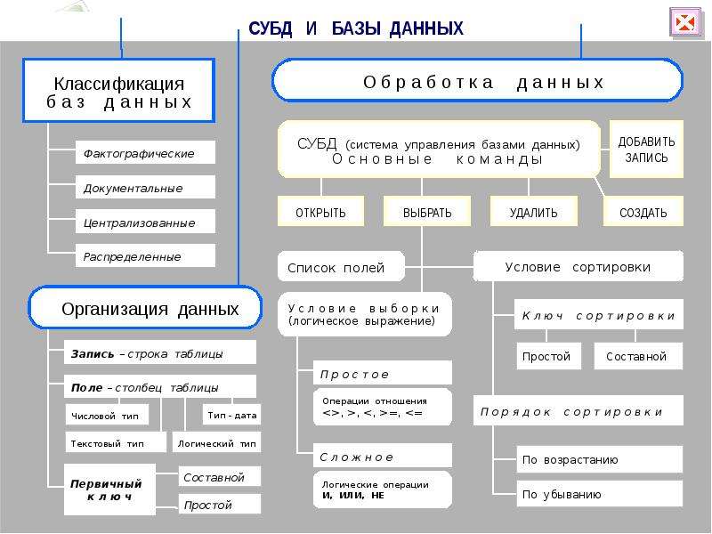 Система управления базами данных 9 класс презентация