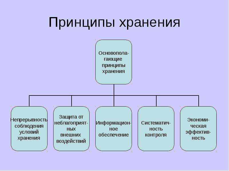 Принципы хранения. Основополагающие принципы хранения. Принципы хранения товаров в магазине. Организация и технология хранения товаров..