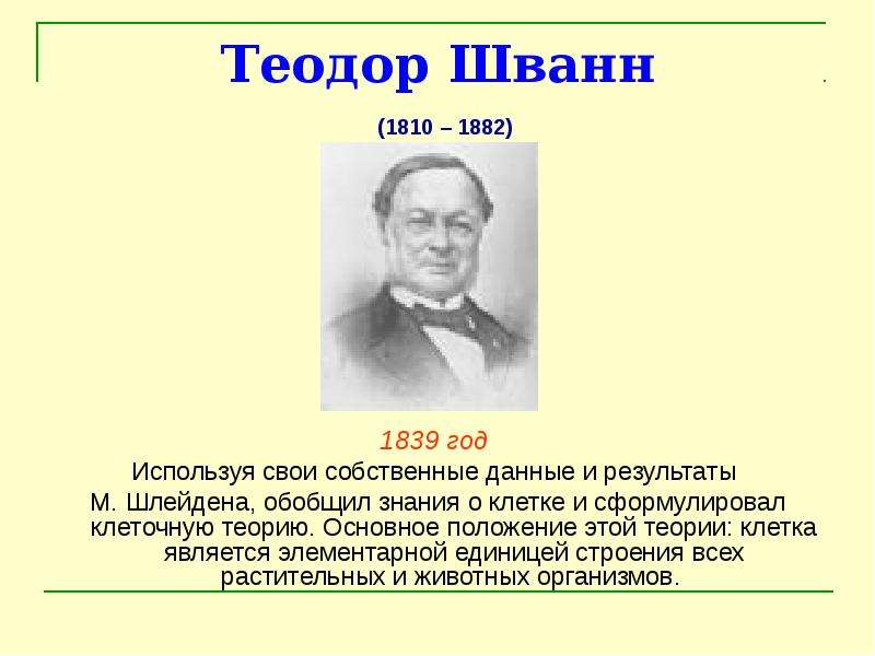 Презентация клеточная теория шлейдена и шванна и шлейдена