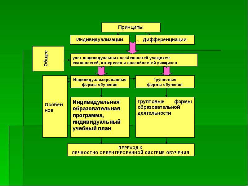 Учет индивидуальных особенностей принцип. Индивидуализация образовательного процесса. Принцип дифференциации и индивидуализации. Индивидуализация и дифференциация образования. Пример индивидуализации образования.