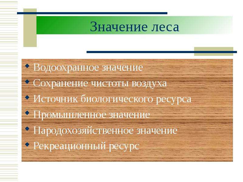 Лесной значение. Значение леса. Значение Лесной промышленности. Значимость Лесной промышленности. Лесные ресурсы роль и значение в природе.