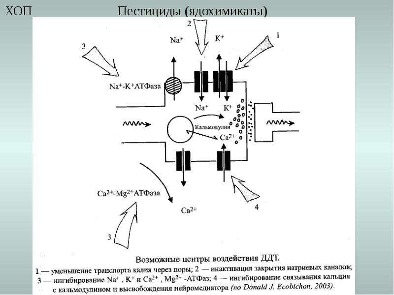 Пестициды презентация по химии