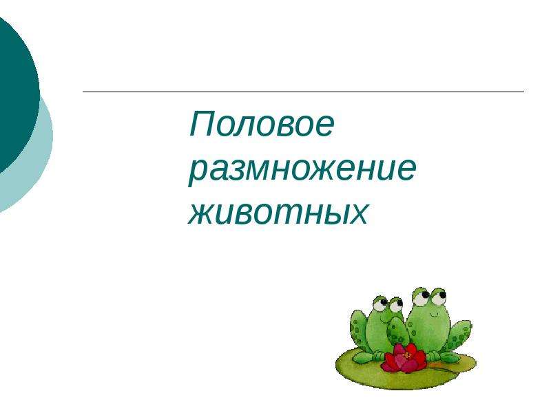 Презентация по биологии 6 класс на тему половое размножение животных