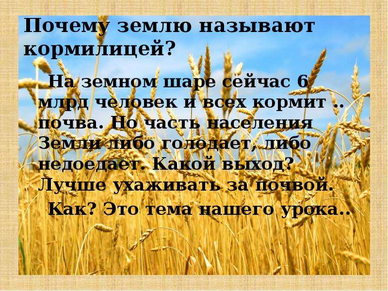 Зачем участков. Почему землю называют кормилицей. Стихи о почве земле-кормилице. Стихотворение про почву. Земля кормилица.