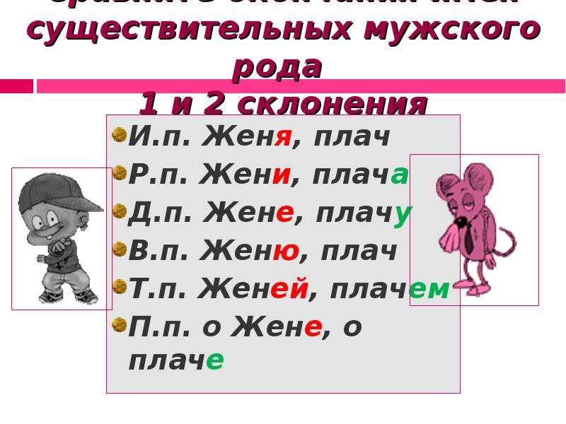 Мужской род 2. Женя склонение имени. Существительные мужского рода 1 склонения. Плач склонение. Плач род существительного.