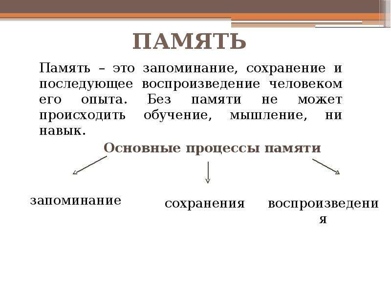 Высшая нервная деятельность поведение психика презентация 8 класс