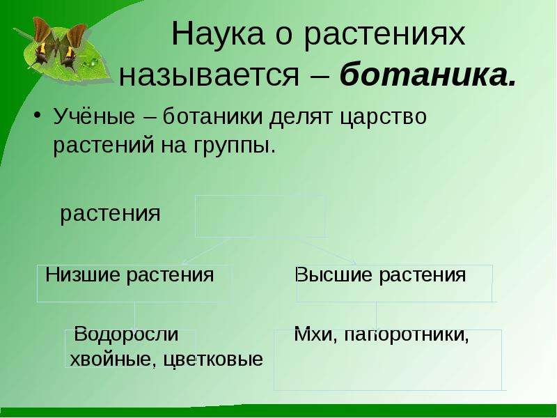 Конспект разнообразие. Ученые ботаники делят царство растений на группы. Презентация растения 3 класс. Науки с царством растений. Растения 3 класс окружающий мир презентация.