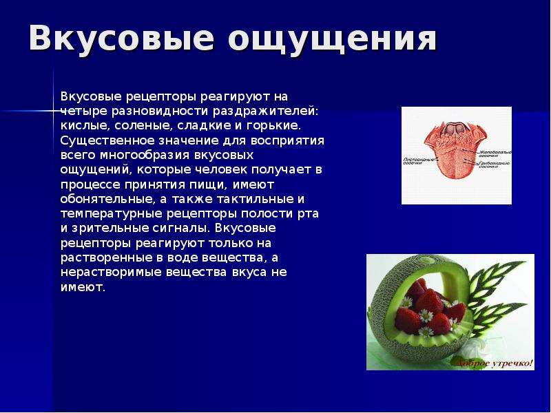 Память презентация по биологии