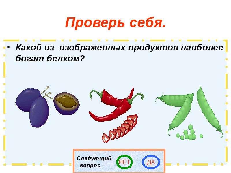 Какой из изображенных. Какой из следующих продуктов наиболее богат белком?. Из какого.