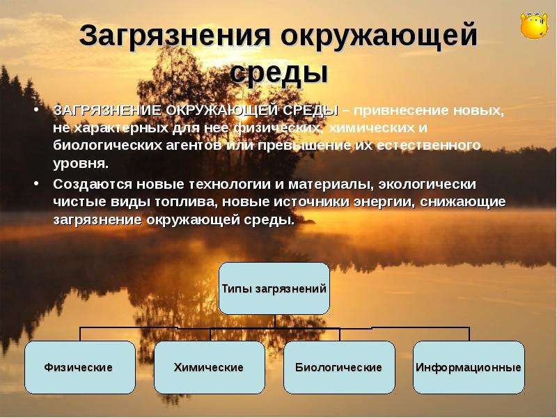 Презентация по обществознанию на тему защита природы