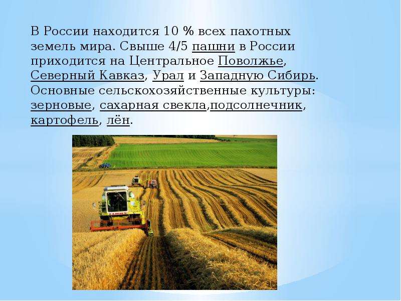 В России находится 10 % всех пахотных земель мира. Свыше 4/5 пашни в России приходится на Центрально