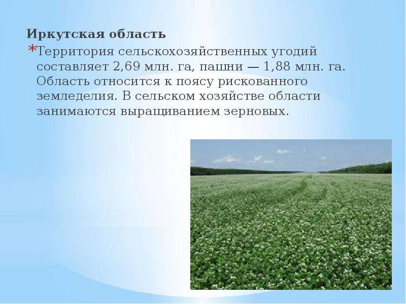 Иркутская область Иркутская область Территория сельскохозяйственных угодий составляет 2,69 млн. га,