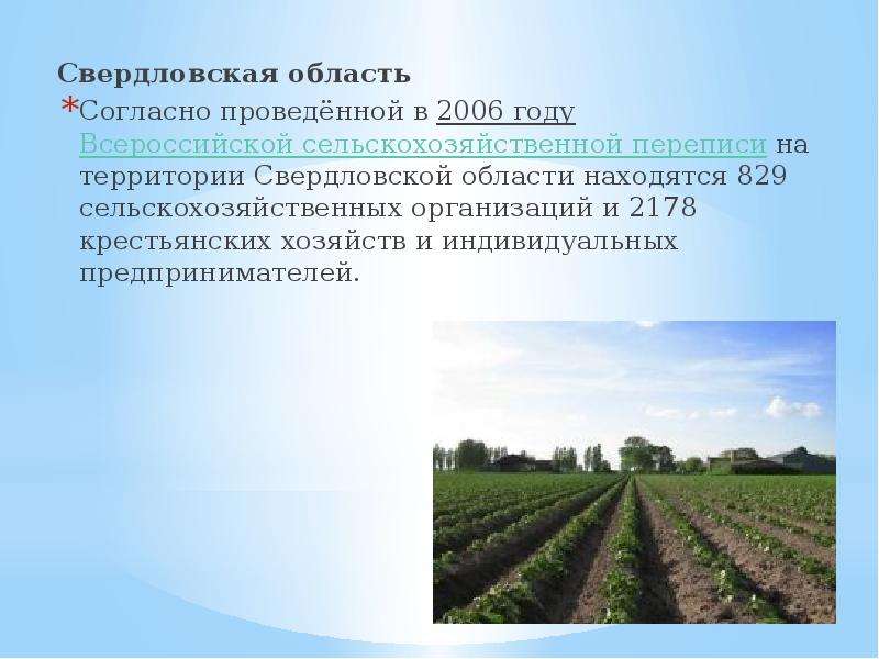 Свердловская область Свердловская область Согласно проведённой в 2006 году Всероссийской сельскохозя