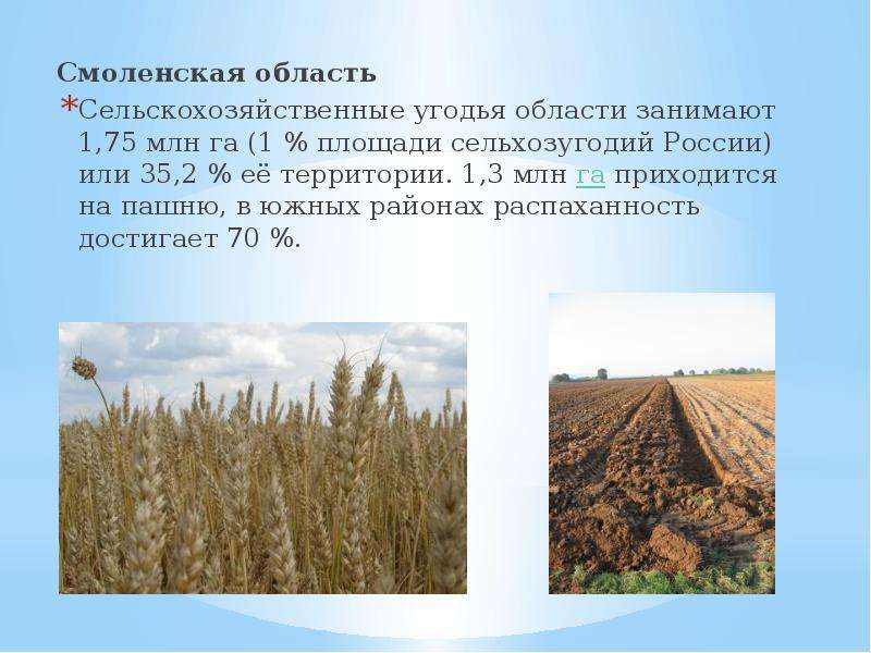 Смоленская область Смоленская область Сельскохозяйственные угодья области занимают 1,75 млн га (1 %