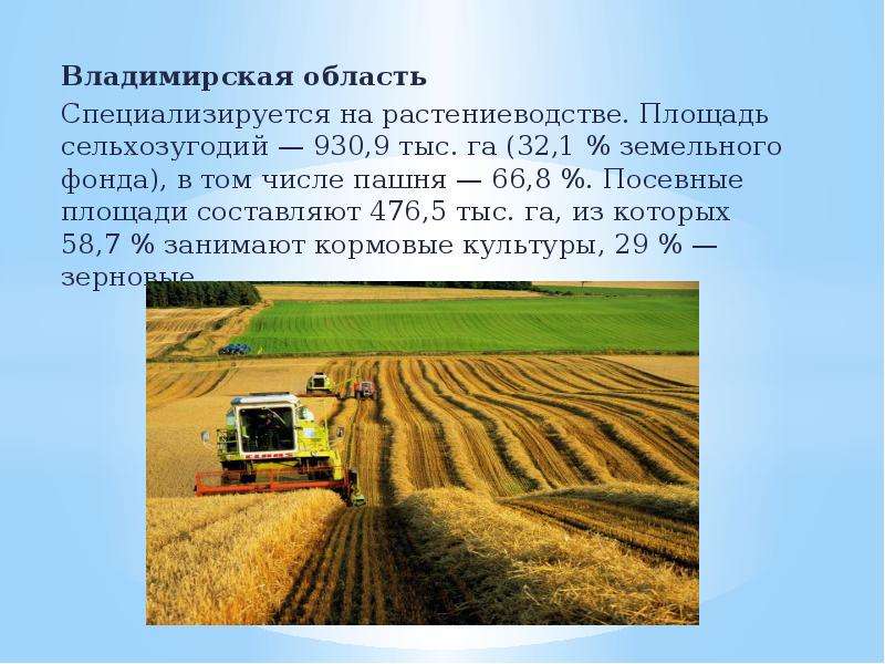 Владимирская область Специализируется на растениеводстве. Площадь сельхозугодий — 930,9 тыс. га (32,