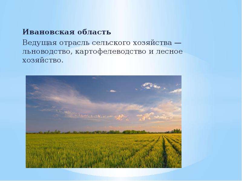 Ивановская область Ведущая отрасль сельского хозяйства —льноводство, картофелеводство и лесное хозяй