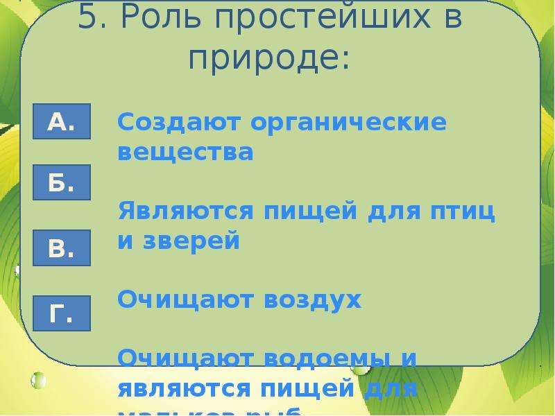 Роль простейших. Роль простейших в природе. 5 Роль простейших в природе. Какова роль простейших в природе. Роль простейших в природе 7 класс биология.