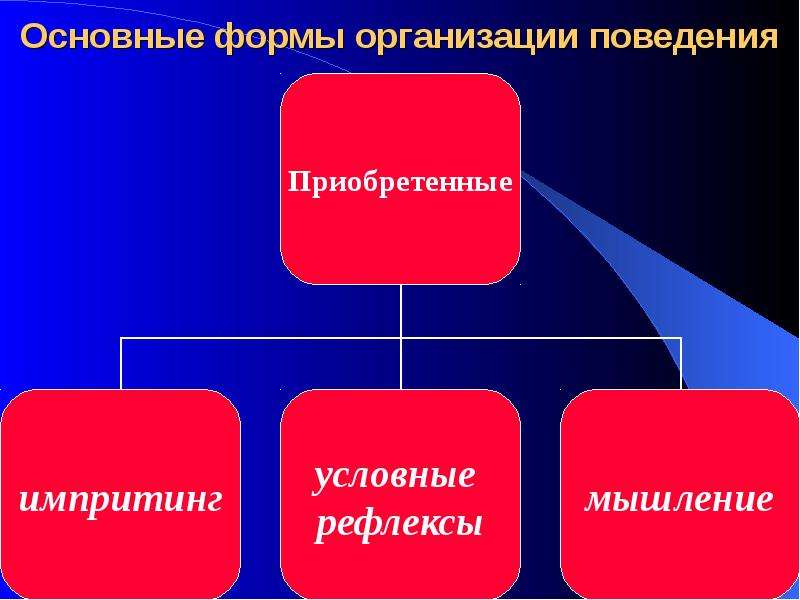 Поведение в организации. ВНД это в экономике. Рефлекторное мышление. Приобретённые формы поведения 8 класс таблица.