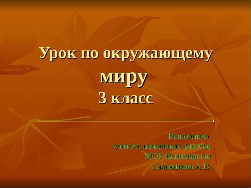 Презентация к уроку по окружающему миру 3 класс