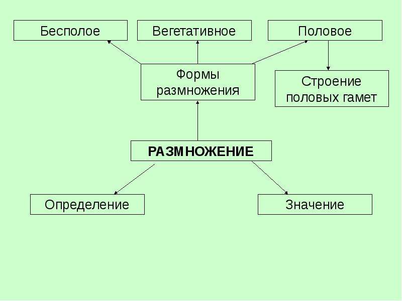 Формы размножения организмов презентация