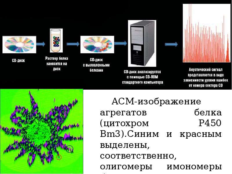 Презентация геномика и протеомика