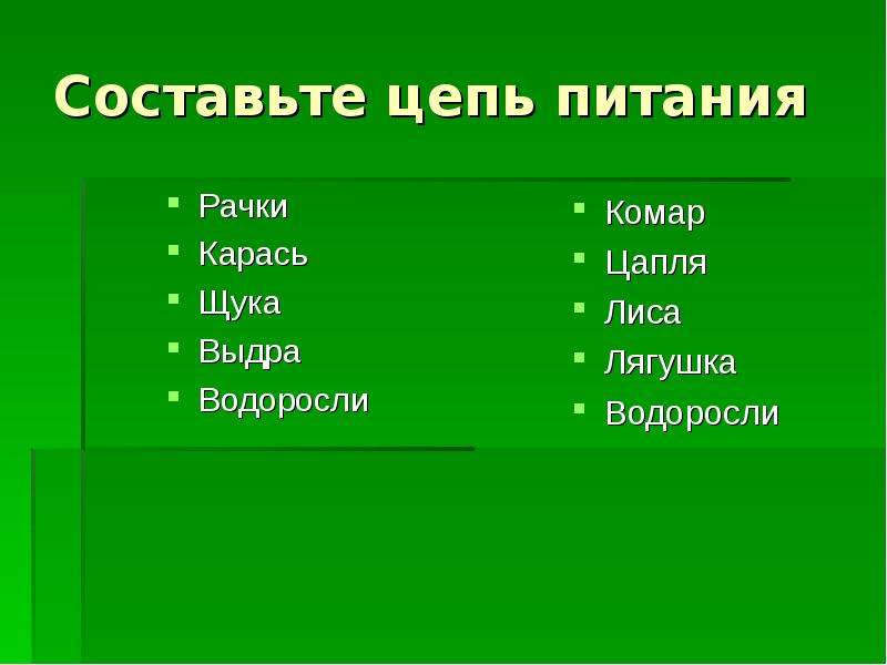 Выдра пищевая цепь. Пищевая цепочка пресного водоема. Цепь питания рачки. Цепь питания водоросли рачки карась щука. Цепочка питания пресного водоема.