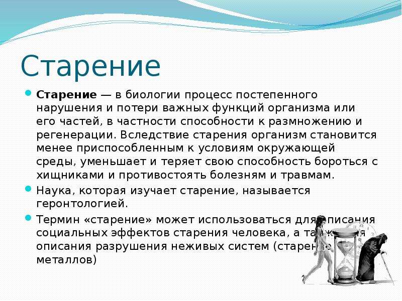 Организм становится. Биология старения. Старение организма биология. Процесс старения биология. Процессы старения человека биология.