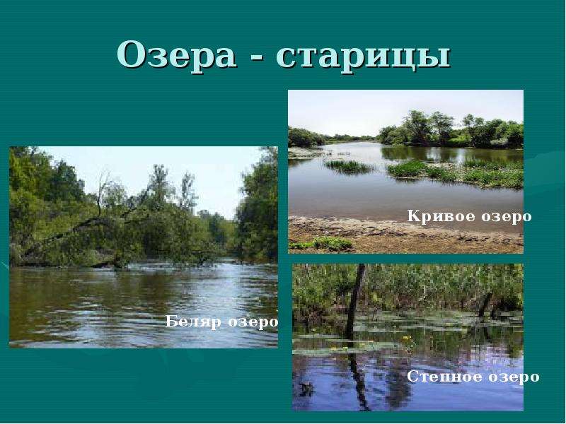 Озера старицы. Озера старицы России. Озёра старицы примеры. Озеро Старица. Старичное озеро примеры.