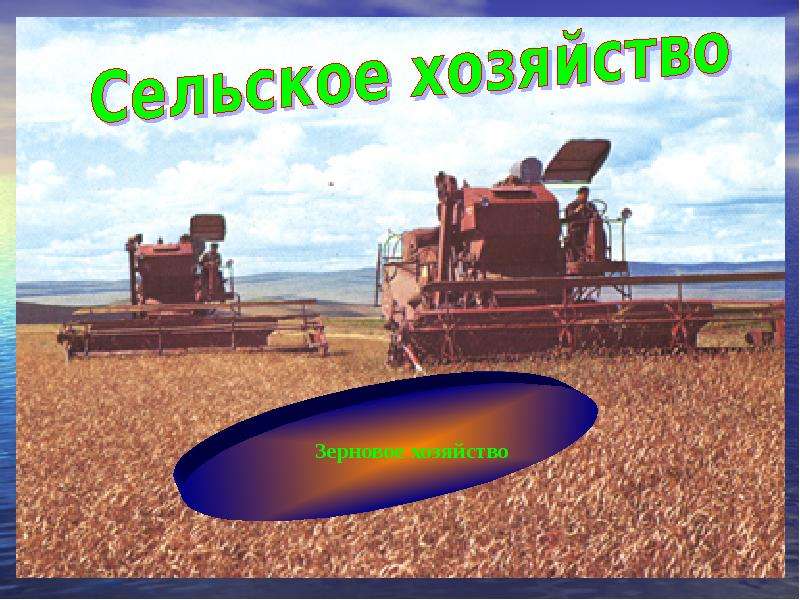 Сельское хозяйство Восточной Сибири. Политическая карта по зерновым хозяйства.