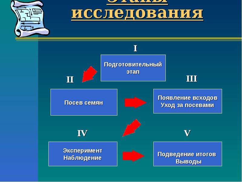 Этапы исследования 5 класс. Подготовительный этап исследования. Этапы экологических исследований. В подготовительный этап исследования входит. 3 Этапа исследования.