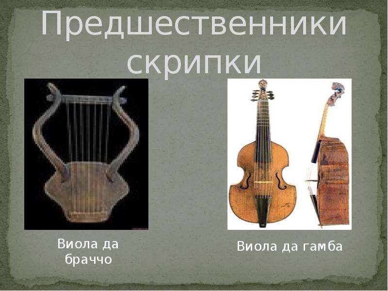 Западноевропейский Смычковый Музыкальный Инструмент 5 Букв