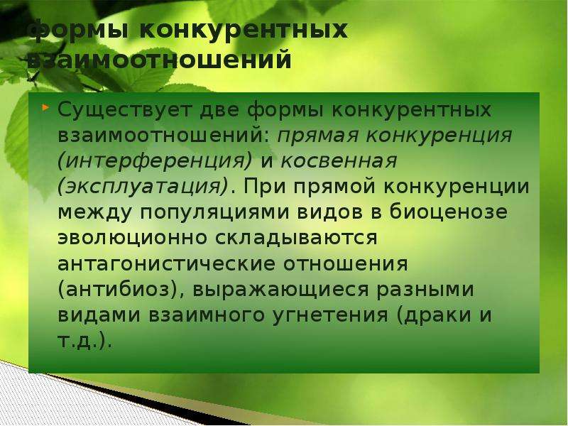 Конкурирующие отношения. Конкуренция в биоценозе. Конкуренция вид взаимоотношений. Конкурентные взаимодействия. Конкуренция в биологии.